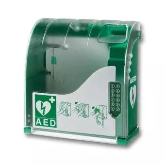 AIVIA 210 buitenkast met verwarming, alarm en pincodeslot