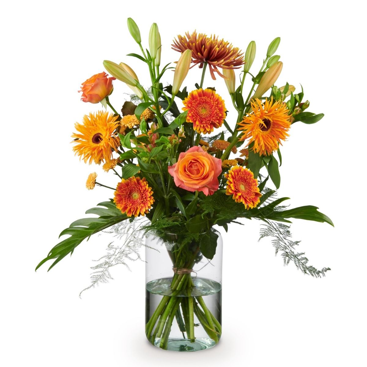 Product Image 0